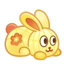 表情